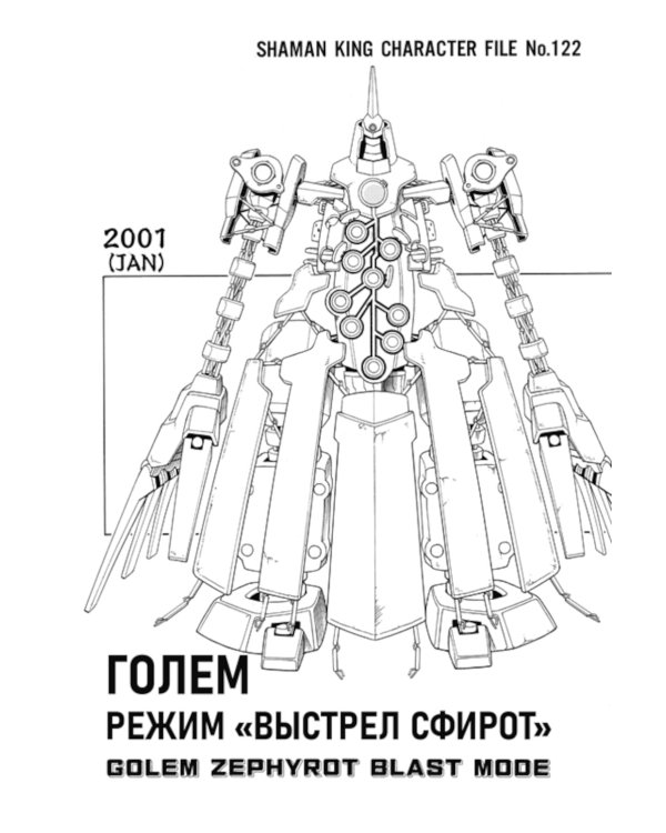 Король шаманов. Т. 12: манга