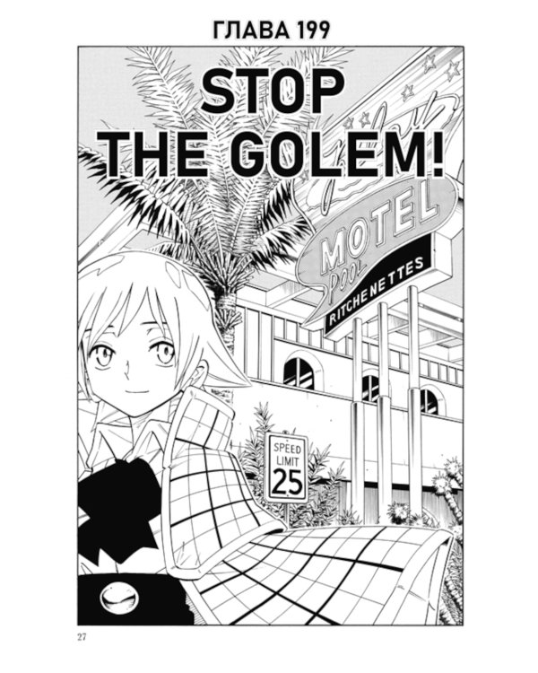 Король шаманов. Т. 12: манга