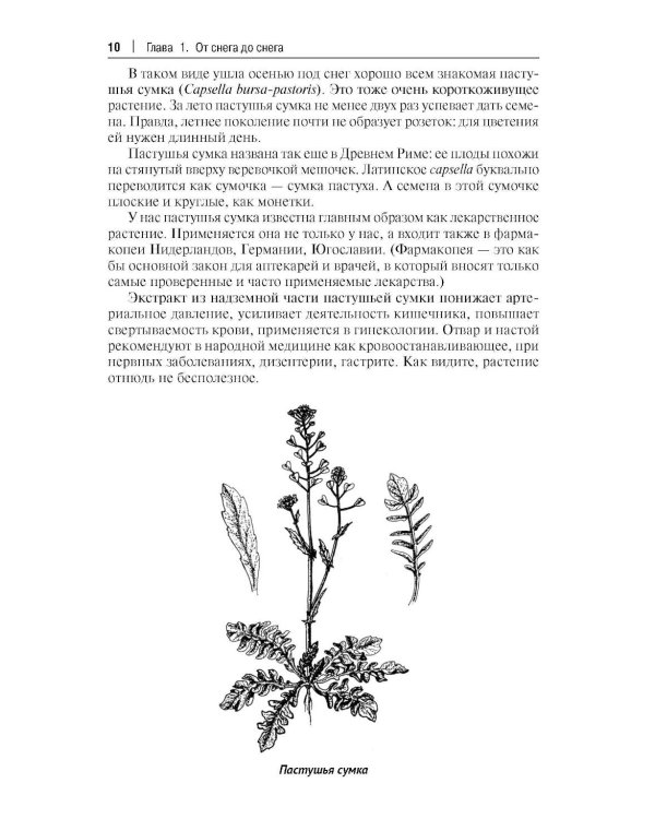 Кухня Робинзона. Рецепты блюд из дикорастущих и декоративных растений. 3-е изд., испр. и доп