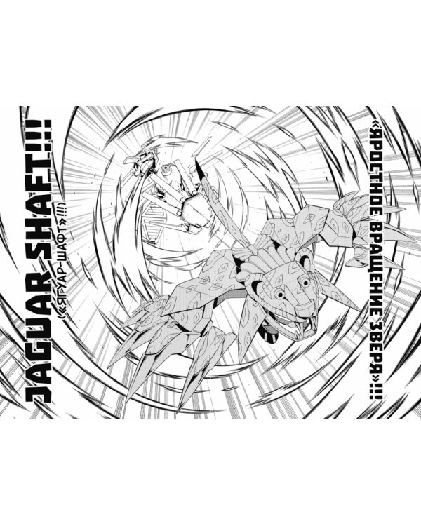 Король шаманов. Т. 12: манга