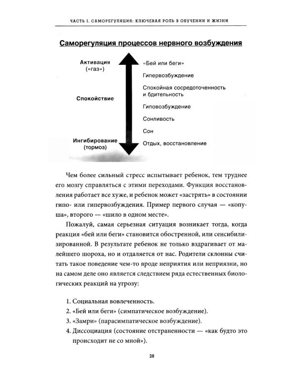 Саморегуляция: как помочь ребенку (и себе) справляться со стрессом