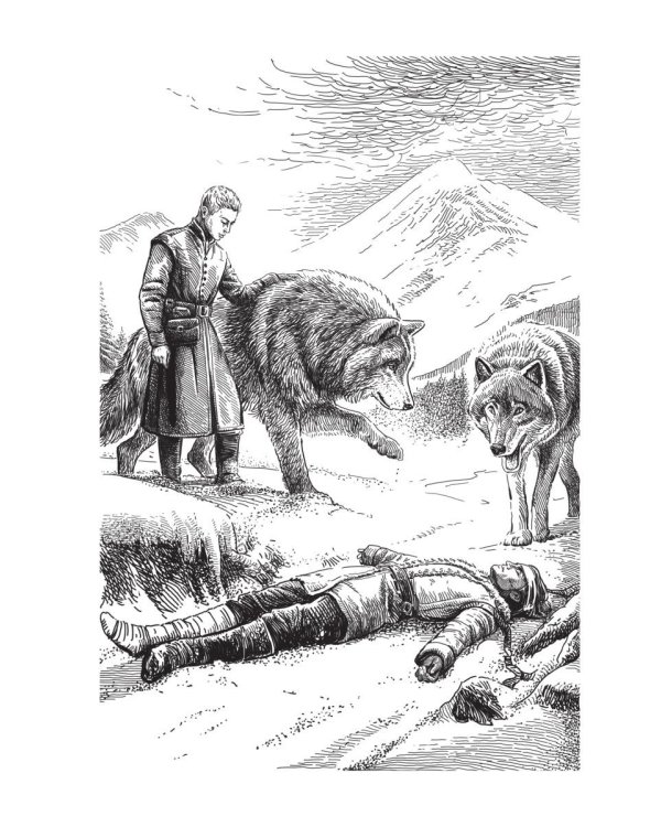 Мар. Слуга императора. Кн. 2: Щит императора