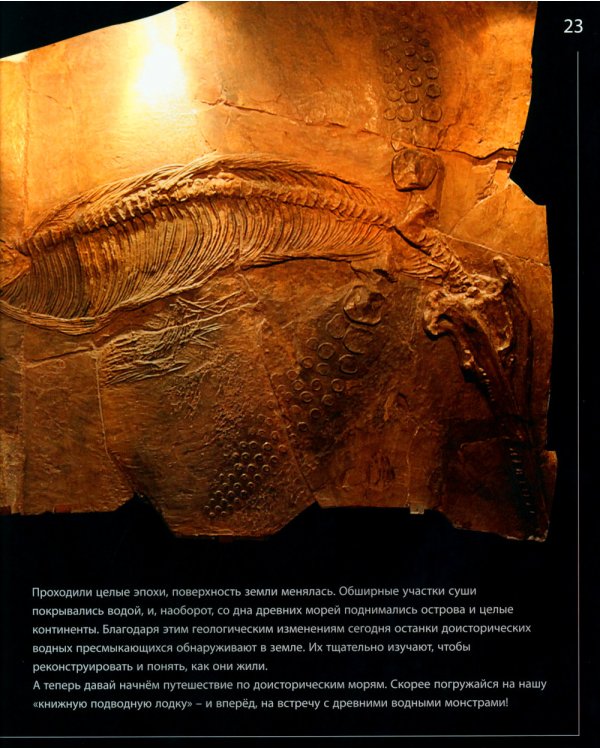 Загадки древних водных рептилий