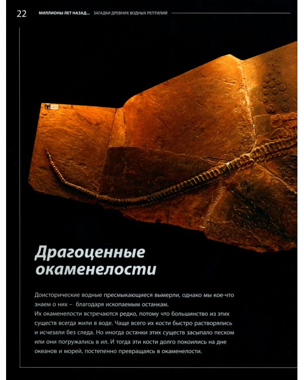Загадки древних водных рептилий