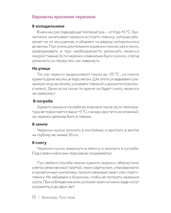 Виноград. Путь лозы. Шпаргалка-трекер: от черенка до грозди