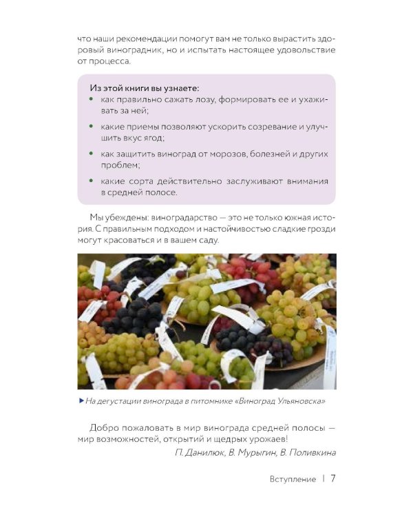 Виноград. Путь лозы. Шпаргалка-трекер: от черенка до грозди