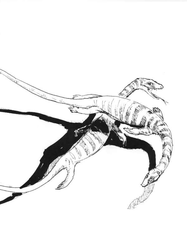 Загадки древних водных рептилий