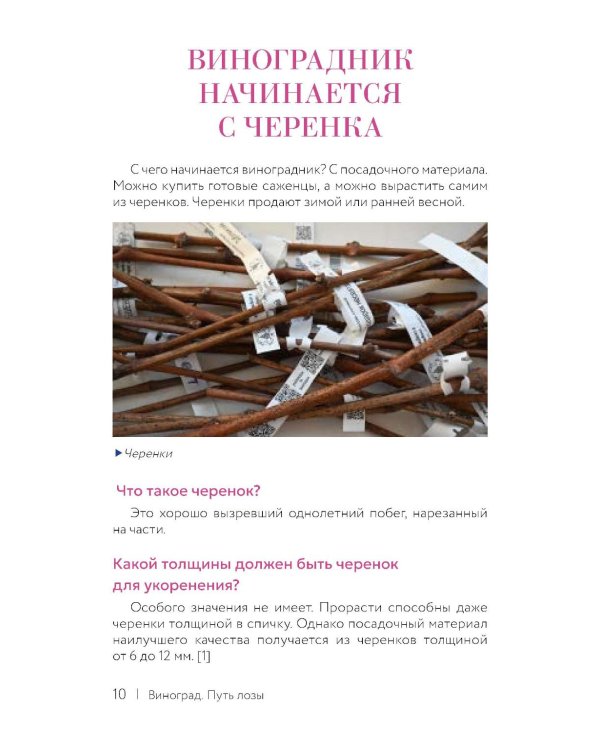 Виноград. Путь лозы. Шпаргалка-трекер: от черенка до грозди