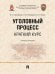 Уголовный процесс. Краткий курс. Учебное пособие