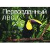 Кирпичики мироздания. Образы, пробуждающие чувства Первозданный лес. Все краски мира