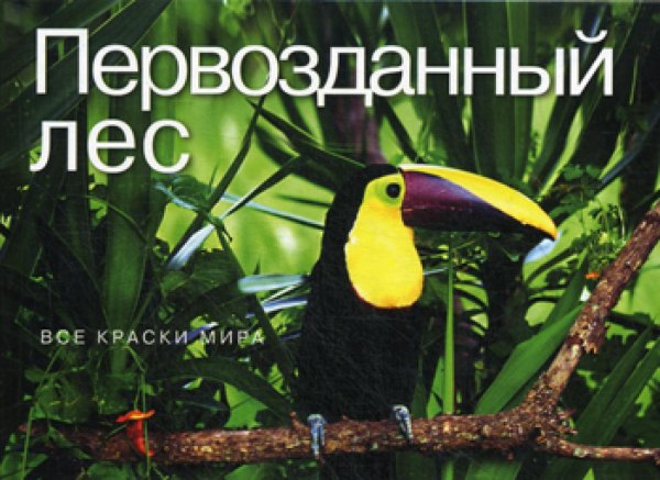 Кирпичики мироздания. Образы, пробуждающие чувства Первозданный лес. Все краски мира