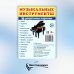Раздаточные карточки "Музыкальные инструменты" (16 карточек) Раздаточные карточки "Музыкальные инструменты" (16 карточек)