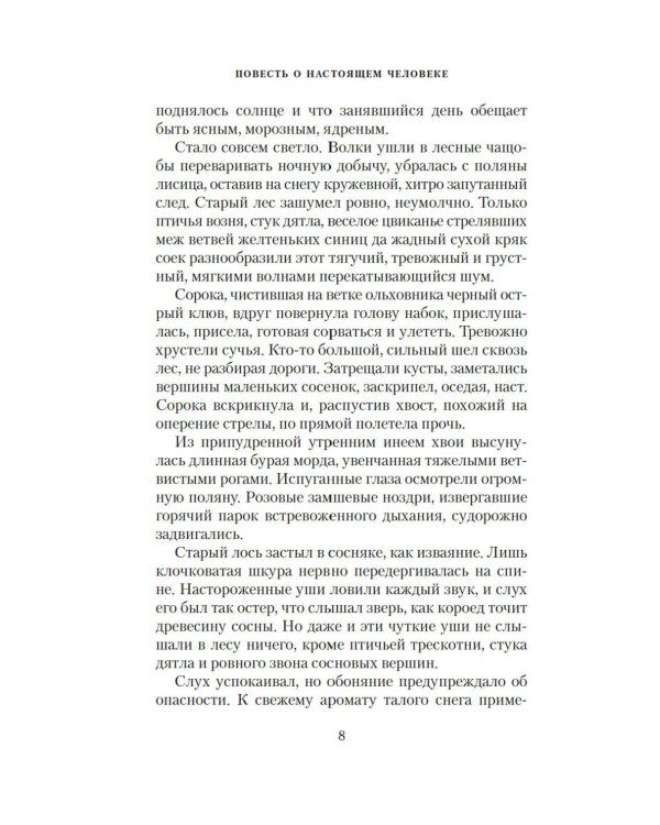 Повесть о настоящем человеке