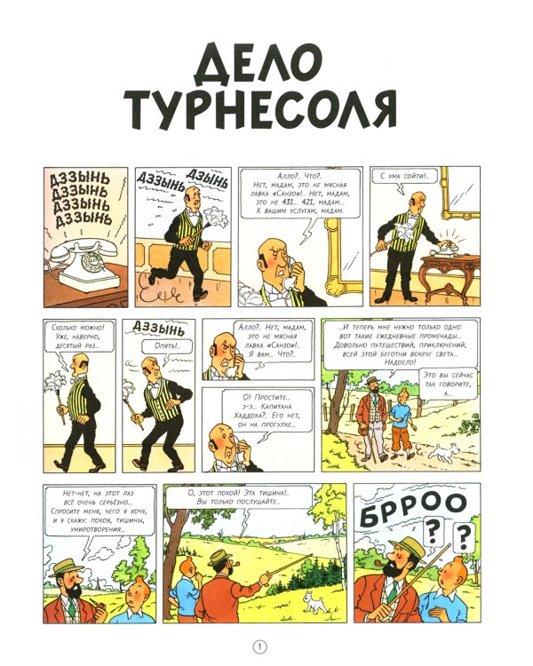 Дело Турнесоля: приключенческий комикс