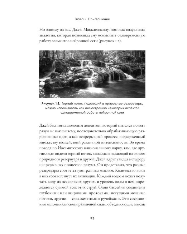 Рождение разума: Как интеллект зарождается в людях и нейросетях