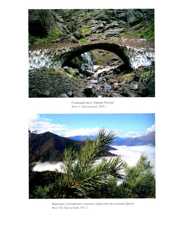 Осетины. 3-е изд., стер