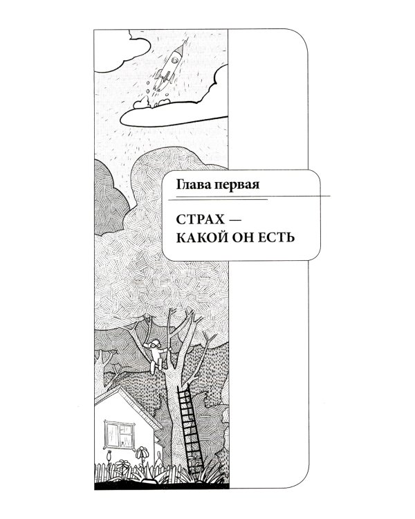 Таблетка от страха. Универсальные правила