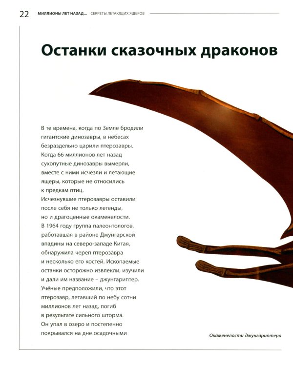 Секреты летающих ящеров