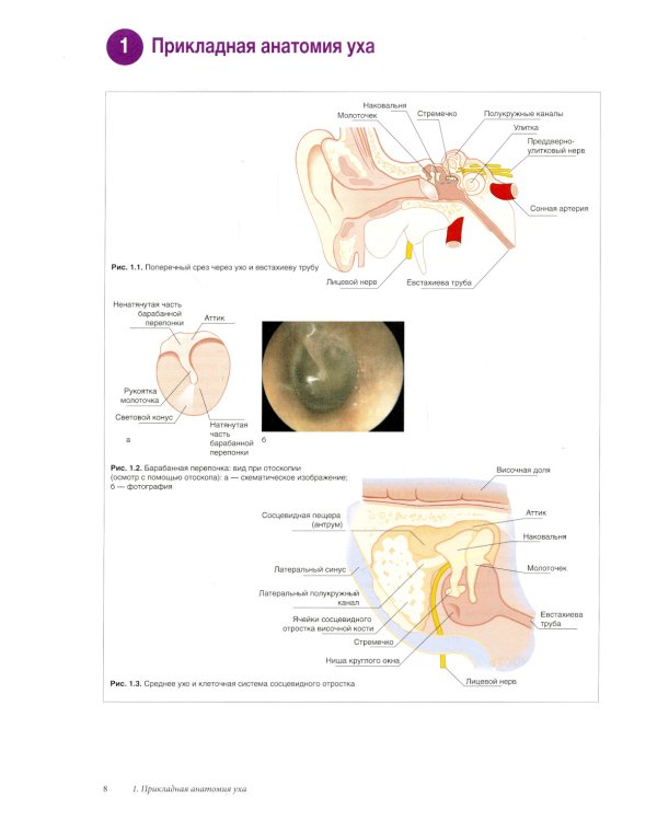Наглядная оториноларингология