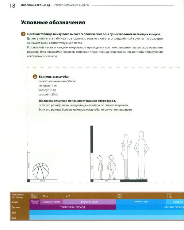 Секреты летающих ящеров
