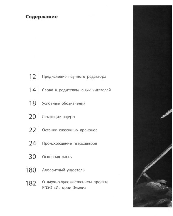 Секреты летающих ящеров