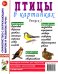 Птицы в картинках. Вып. 1. Наглядное пособие для педагогов, логопедов, воспитателей и родителей