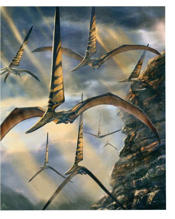 Секреты летающих ящеров