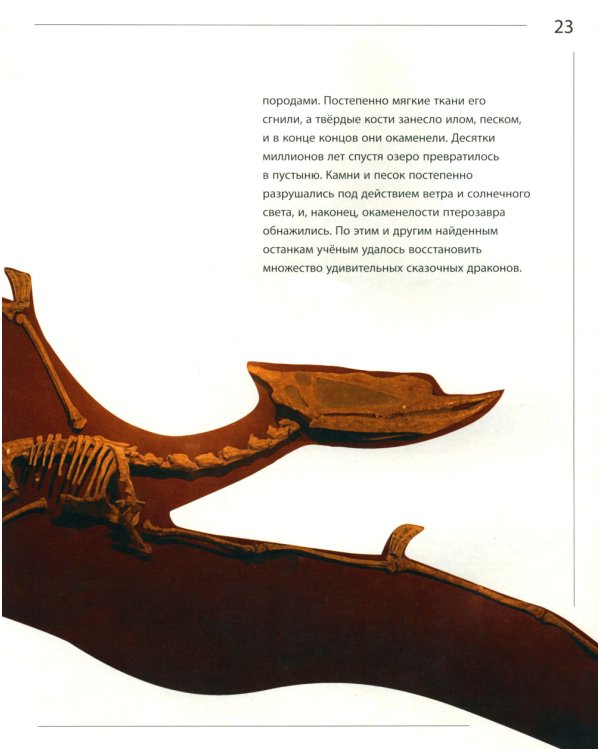 Секреты летающих ящеров