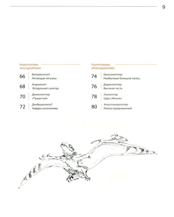 Секреты летающих ящеров