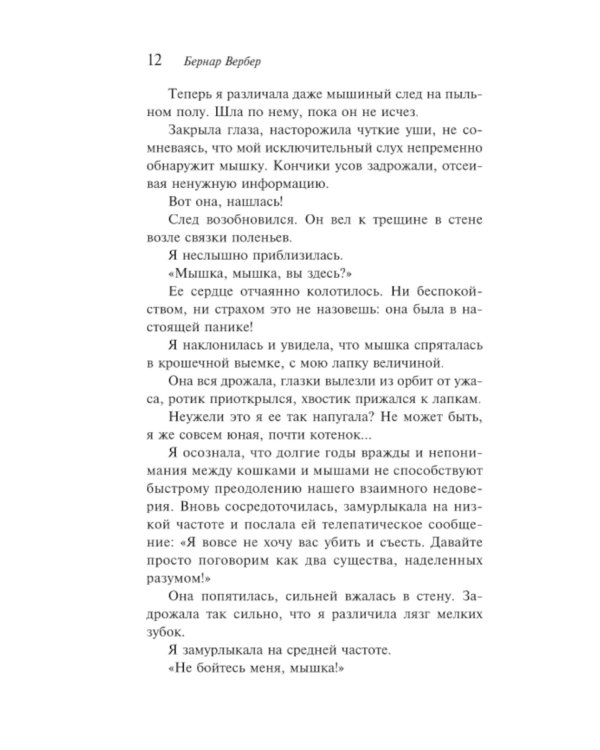 Завтрашний день кошки