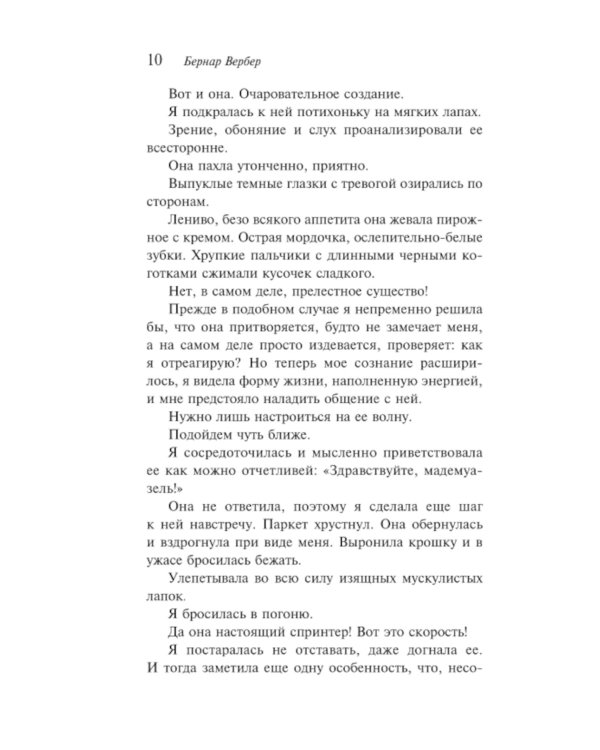 Завтрашний день кошки