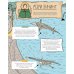 Дополнительное изображение книги «Камни и кости: Окаменелости и истории, которые они рассказывают»