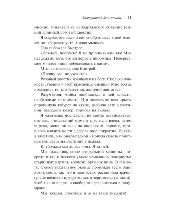 Завтрашний день кошки