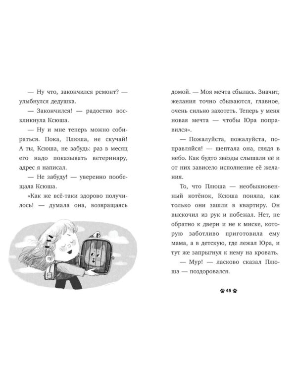 Дополнительное изображение книги «Котенок Плюша ищет семью»