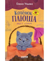 Котенок Плюша ищет семью