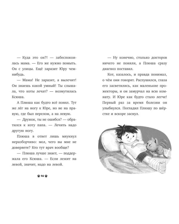 Дополнительное изображение книги «Котенок Плюша ищет семью»