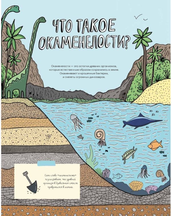 Дополнительное изображение книги «Камни и кости: Окаменелости и истории, которые они рассказывают»