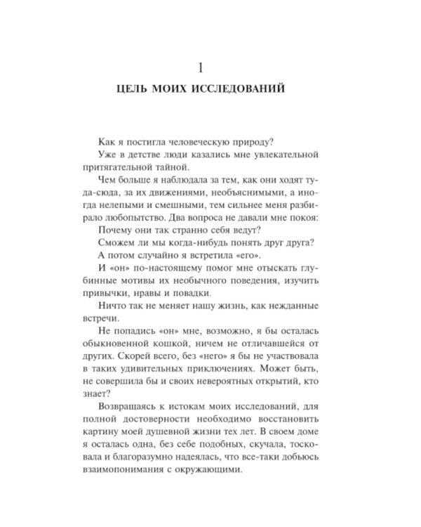 Завтрашний день кошки