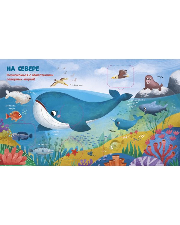 Океаны и моря: книжка с окошками