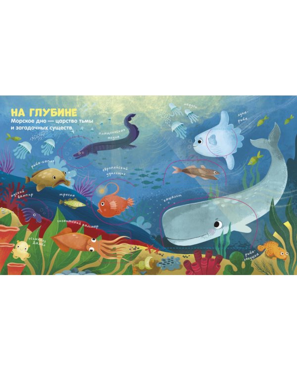 Океаны и моря: книжка с окошками