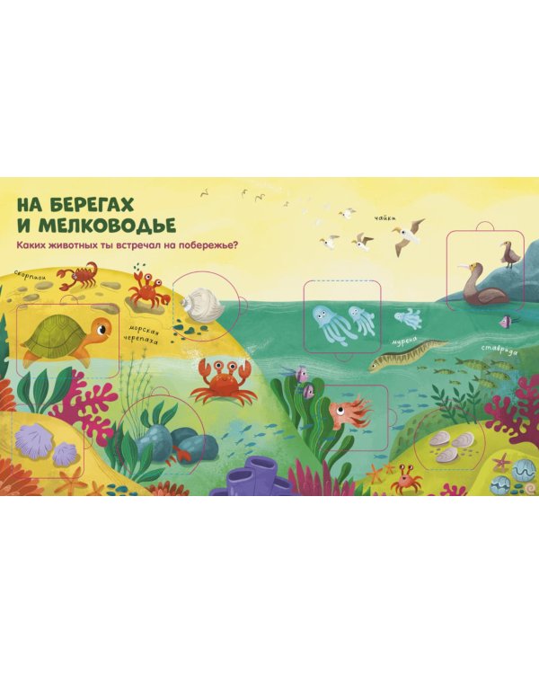 Океаны и моря: книжка с окошками