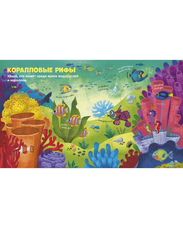 Океаны и моря: книжка с окошками