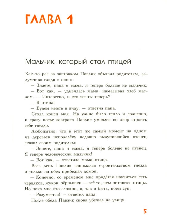 Мальчик, который стал птицей: повесть