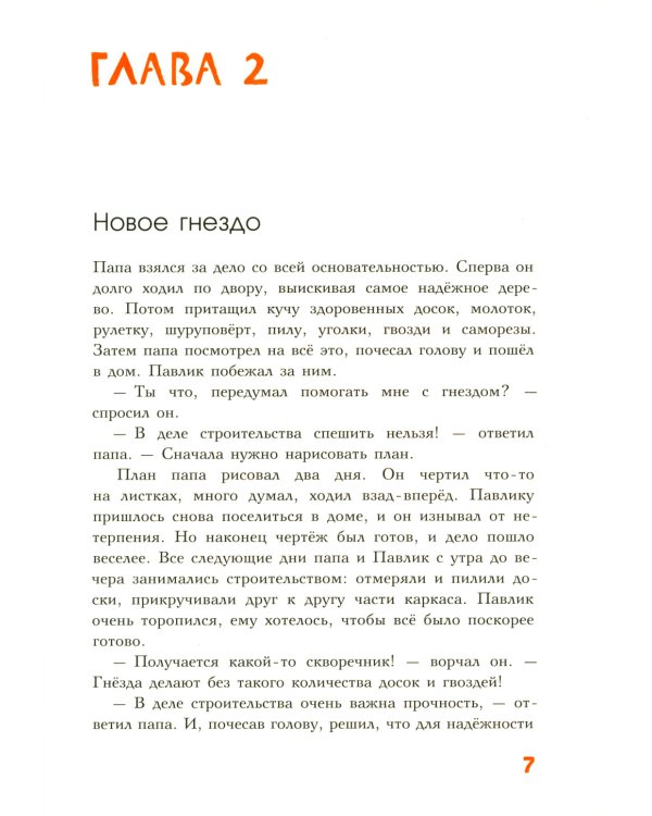 Мальчик, который стал птицей: повесть