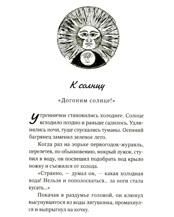 Еловые лапы: рассказы и сказки для детей