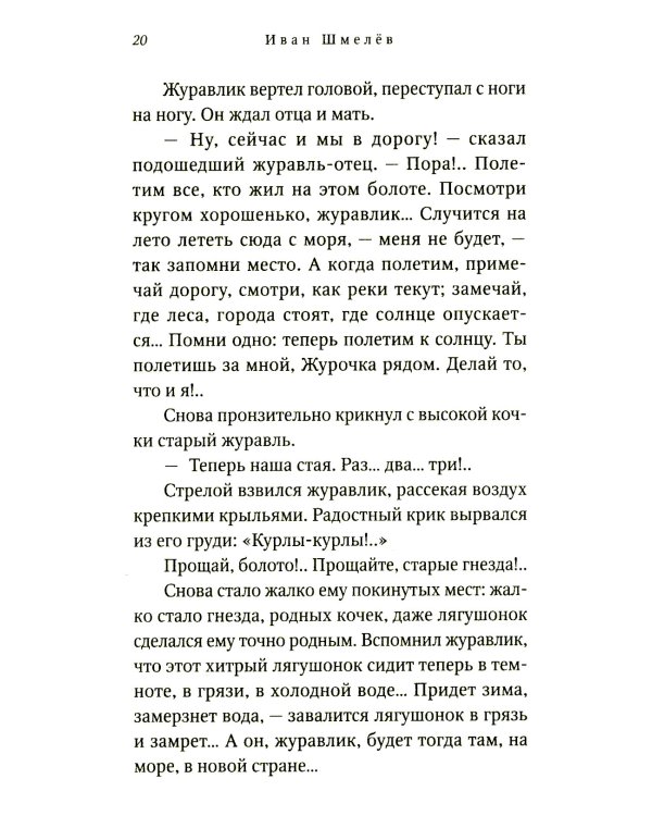 Еловые лапы: рассказы и сказки для детей