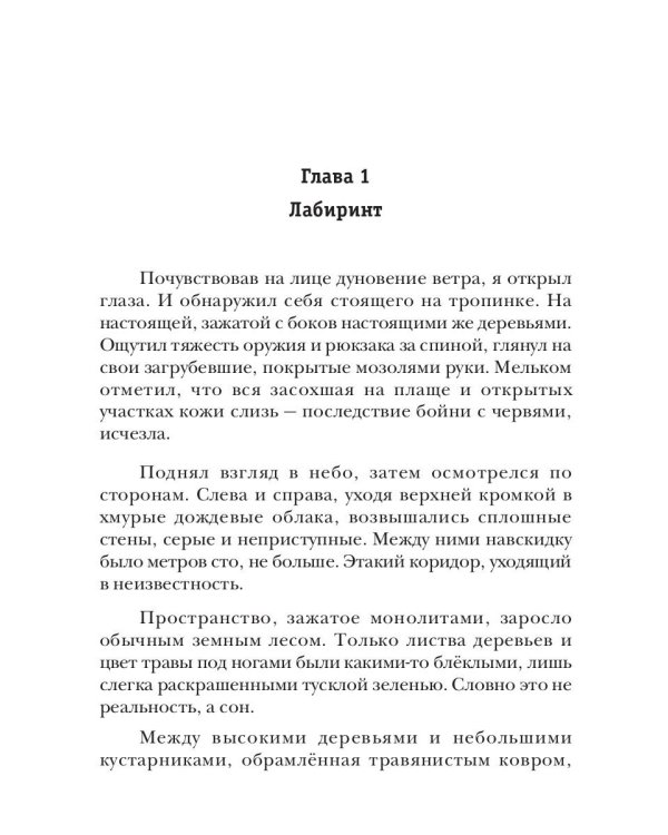 АСКЕТ. Кн. 2: Лимб