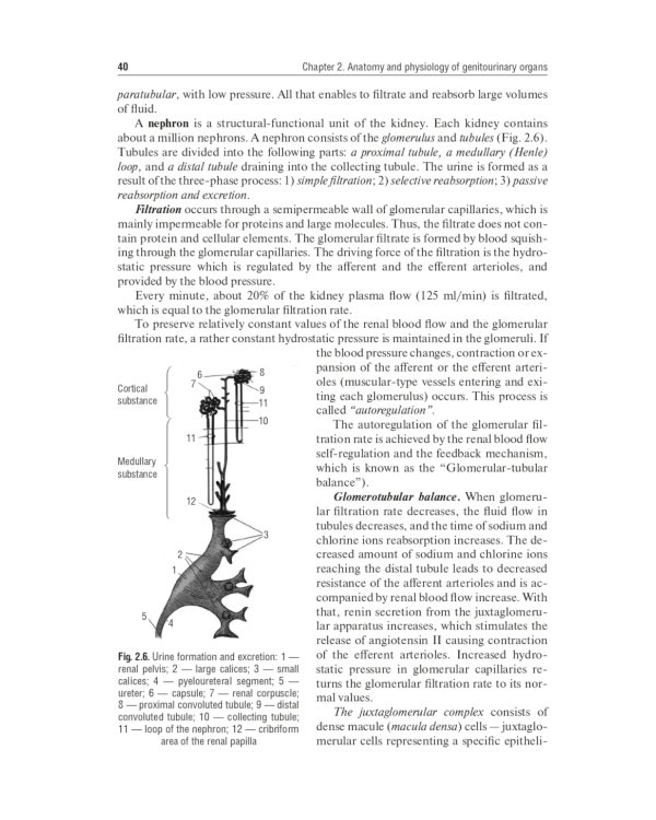 Urology = Урология