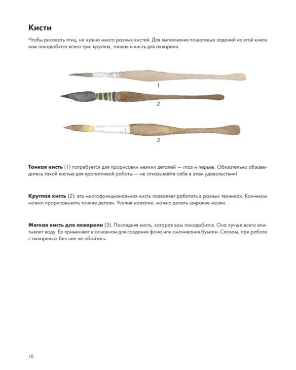 Рисуем акварелью: птицы леса и сада