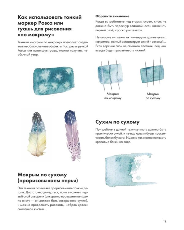 Рисуем акварелью: птицы леса и сада